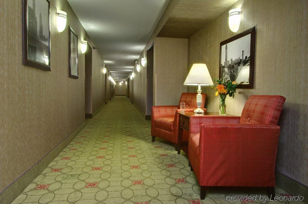 Homewood Suites By Hilton Chicago Downtown Inreriör bild